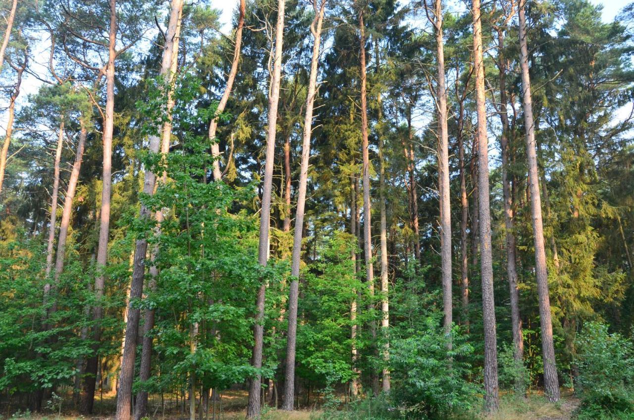 Apartament Blue Mare Pod Wiewiorka Łukęcin Esterno foto